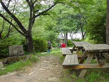 馬越公園付近