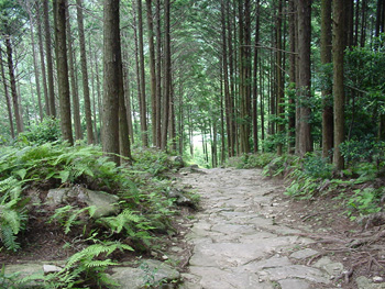 馬越峠の石畳（三重県・海山町）