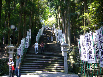 石段を登りきると、正面に神門があり、神門をくぐると檜皮葺きの古色蒼然とした社殿が目に入ってきます。